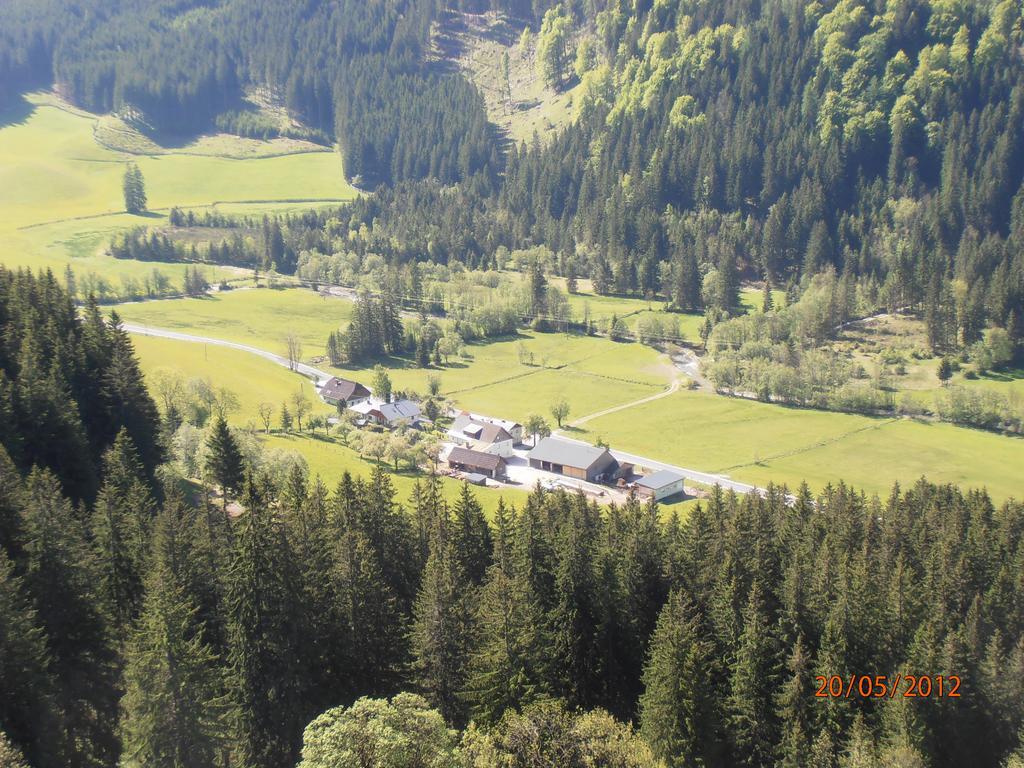 Huberbauer Villa Johnsbach Bilik gambar