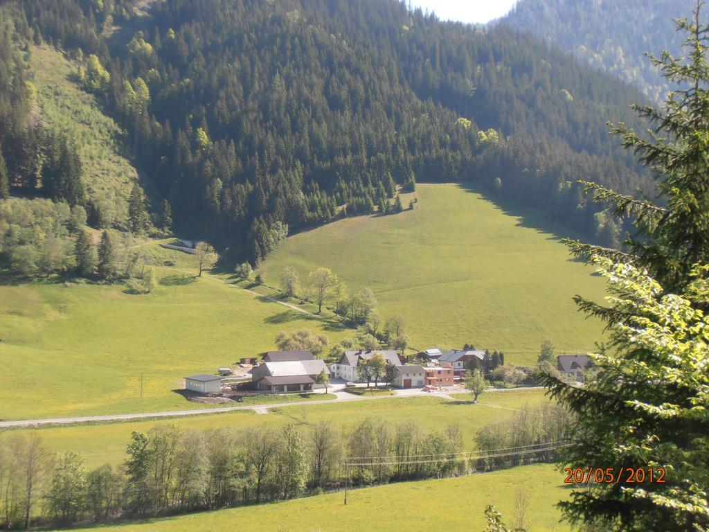 Huberbauer Villa Johnsbach Bilik gambar